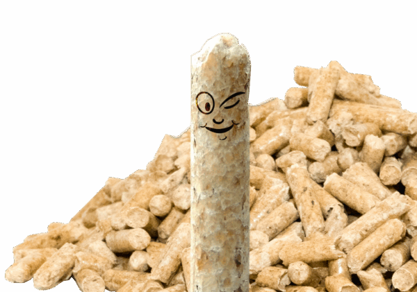 Jetzt Pelletlager füllen mit Profipellets