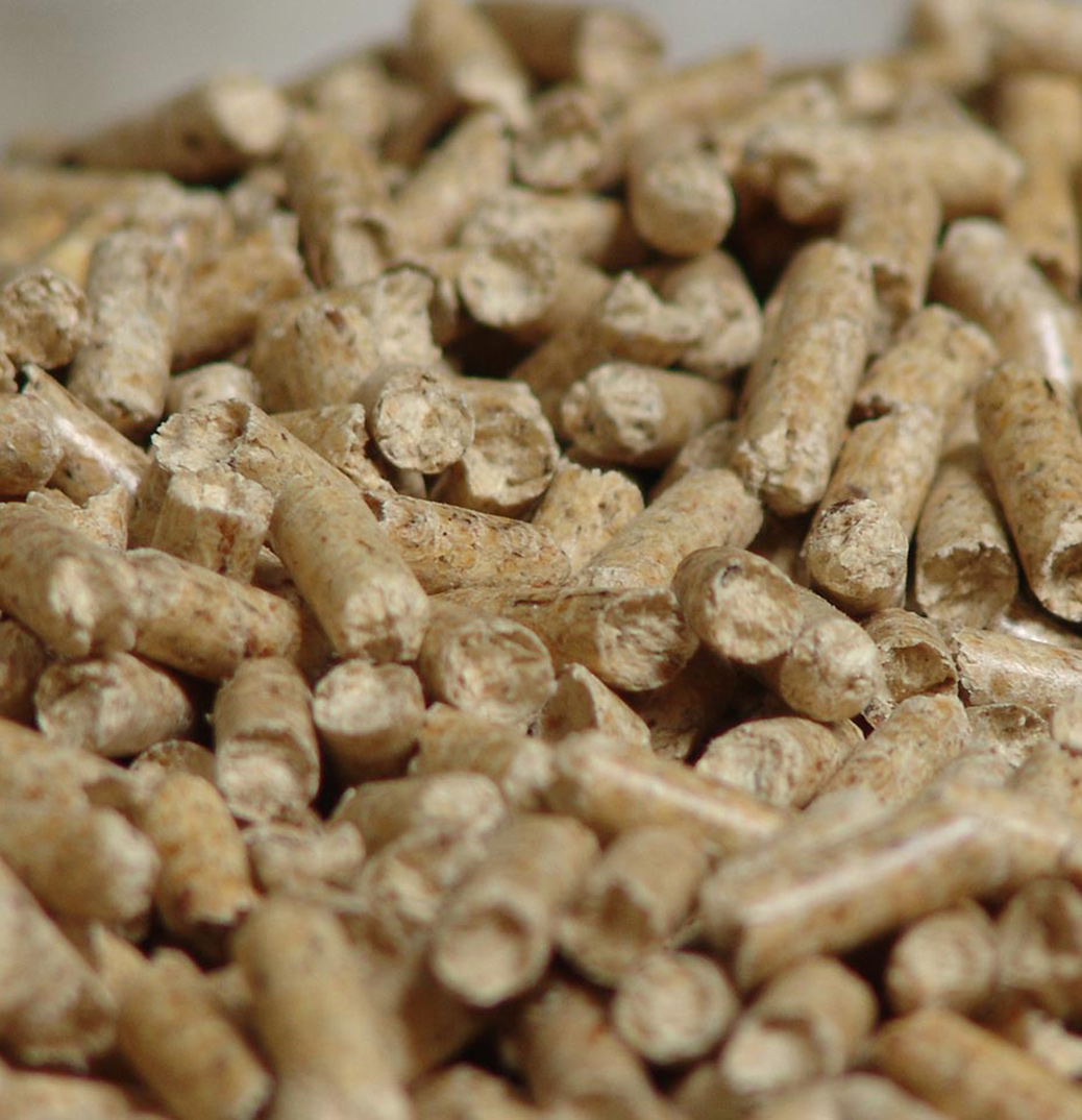 profilpellets kleeschulte energie lose Pellets
