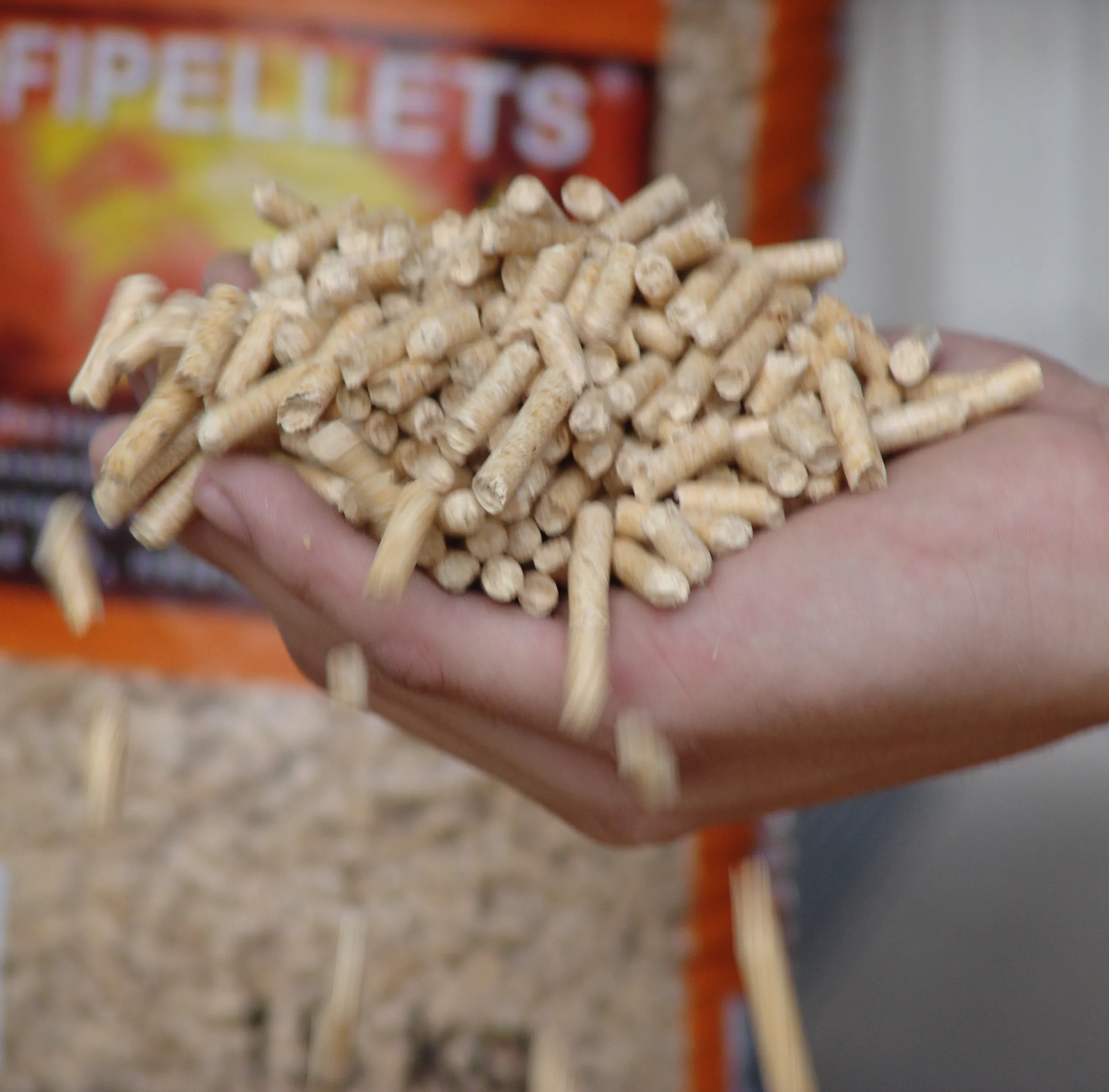 Profipellets-in-Hand
