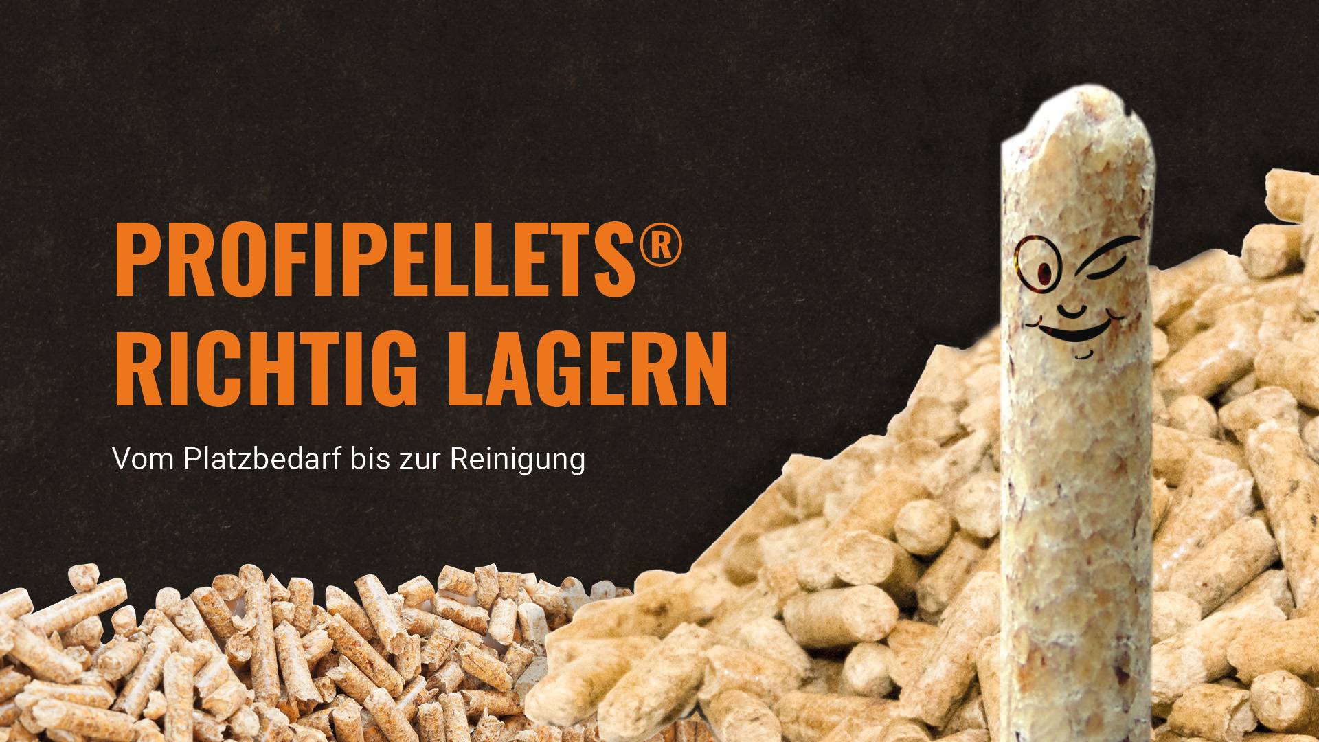 Profipellets Pellets Lagerung Beitragsbild